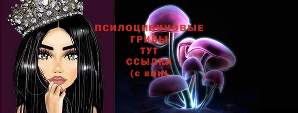 COCAINE Бородино